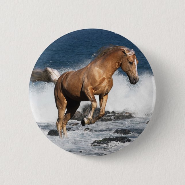 Fantasy Horses: Summer Splash 2 Inch Round Button (Front)