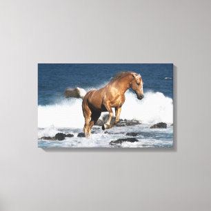 Fantasy Horses: Summer Splash Canvas Print