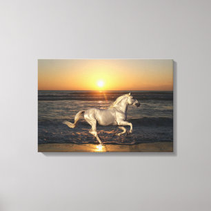 Fantasy Horses: Sunset Canvas Print