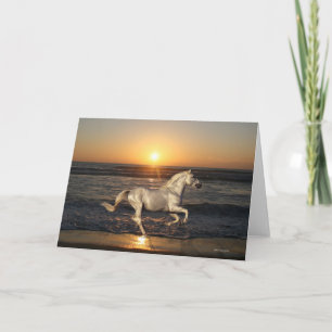 Fantasy Horses: Sunset Card