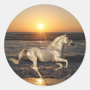 Fantasy Horses: Sunset Classic Round Sticker