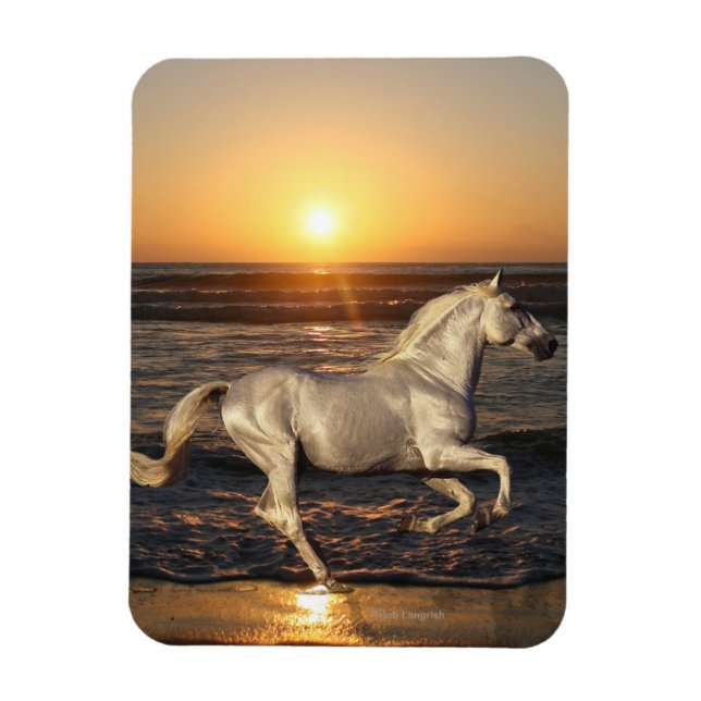 Fantasy Horses: Sunset Magnet (Vertical)