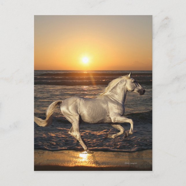 Fantasy Horses: Sunset Postcard (Front)