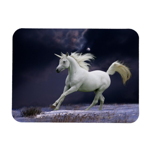 Fantasy Horses: Unicorn Magnet (Horizontal)