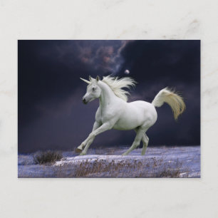 Fantasy Horses: Unicorn Postcard