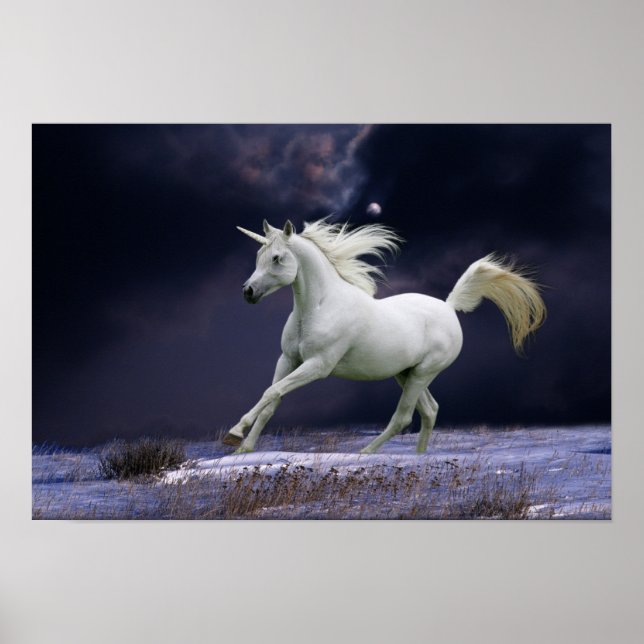Fantasy Horses: Unicorn Poster (Front)