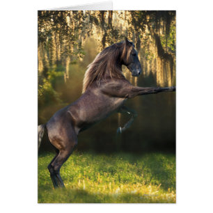 Fantasy Horses: Warrior Prince