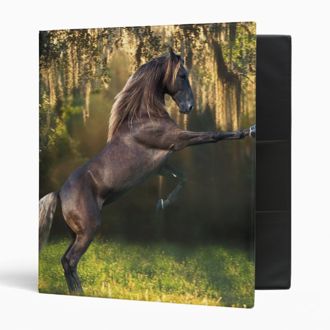 Fantasy Horses: Warrior Prince Binder (Front/Inside)
