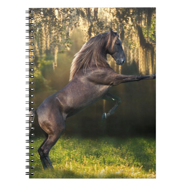 Fantasy Horses: Warrior Prince Notebook (Front)