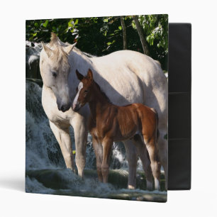 Fantasy Horses: Waterfall Binder