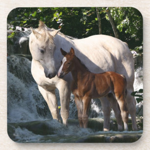 Fantasy Horses: Waterfall Coaster