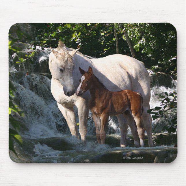 Fantasy Horses: Waterfall Mouse Pad (Front)