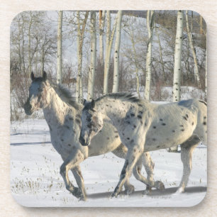 Fantasy Horses: Winter Wonderland Coaster