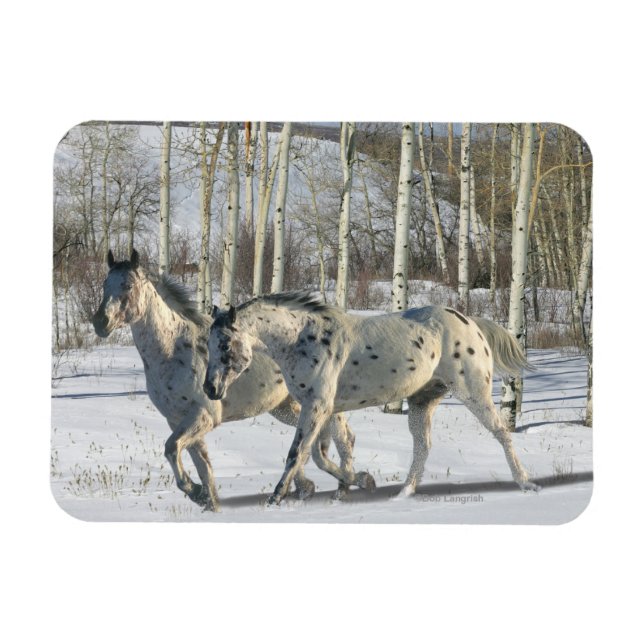 Fantasy Horses: Winter Wonderland Magnet (Horizontal)