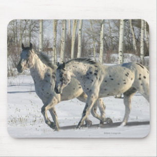 Fantasy Horses: Winter Wonderland Mouse Pad