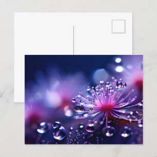 Fantasy macro water drops postcard