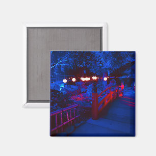 Fantasy Magnet