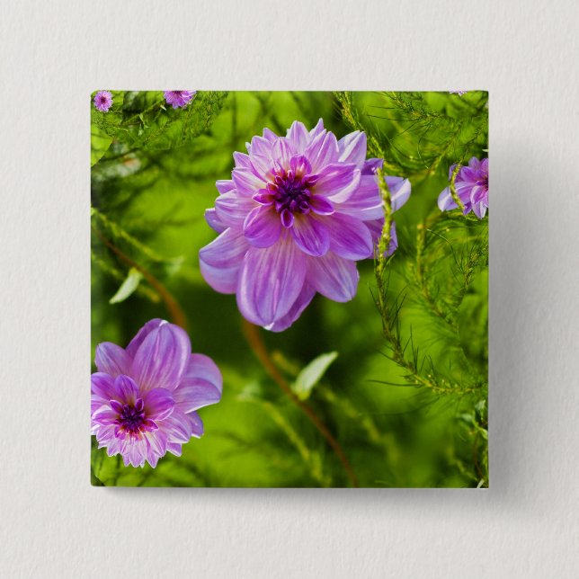 Fantasy Pink Dahlia 2 Inch Square Button (Front)