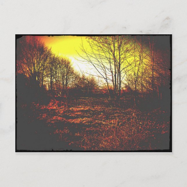 fantasy postcard (Front)