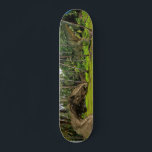 Fantasy T-Rex Tyrannosaurus Dragon battle  Skateboard<br><div class="desc">This design may be personalized by choosing the customize option to add text or make other changes. If this product has the option to transfer the design to another item, please make sure to adjust the design to fit if needed. Contact me at colorflowcreations@gmail.com if you wish to have this...</div>