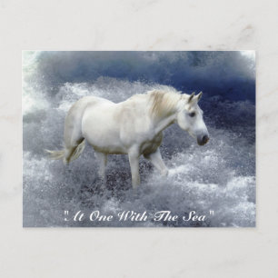 Fantasy White Horse & Ocean Surf  Gifts Postcard