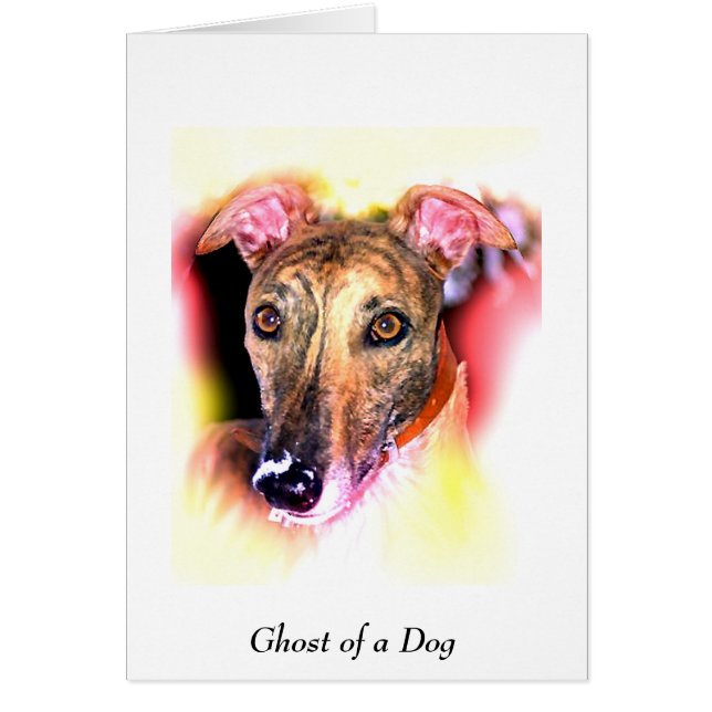 Fantôme d'un chien (Devant)