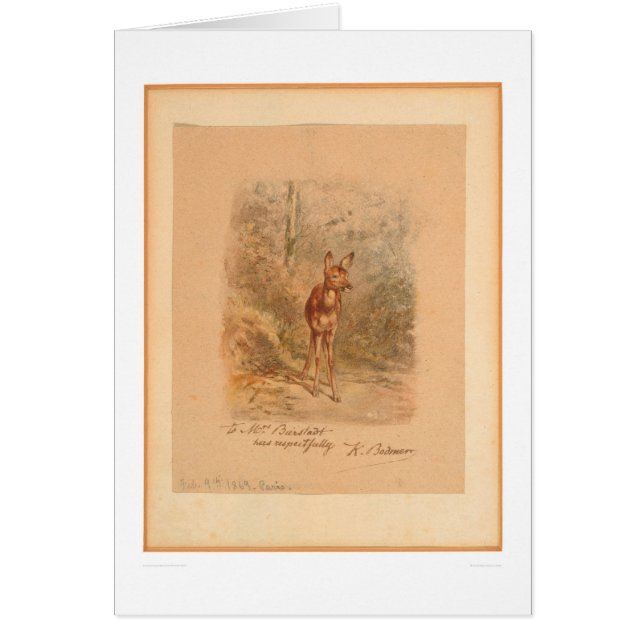 Faon dans la forêt (0567A) (Devant)