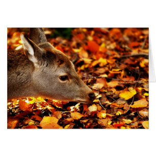 Faon de bébé reniflant le feuille d'automne au sol