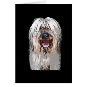 Faon de sourire Briard