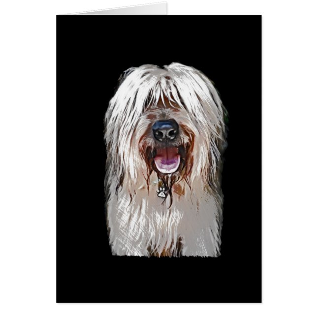 Faon de sourire Briard (Devant)