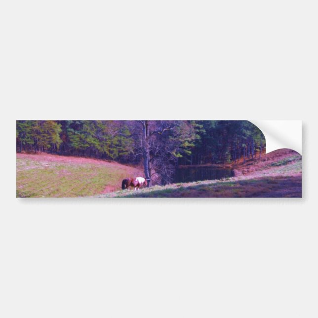 Far Away Horse in a Purple Field Bumper Sticker (Front)