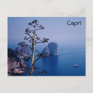 Faraglioni Postcard