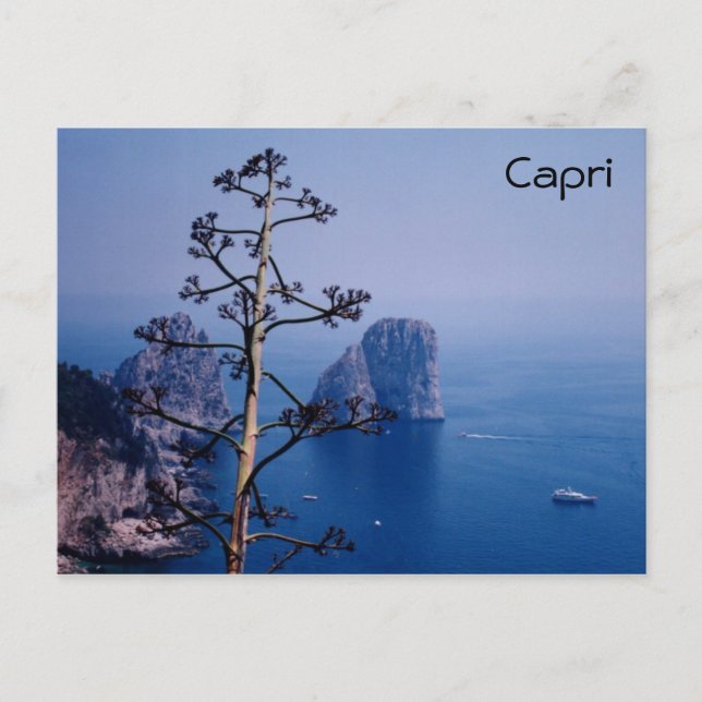 Faraglioni Postcard (Front)