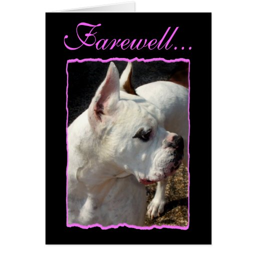 Lovely 20 Farewell Dog Card