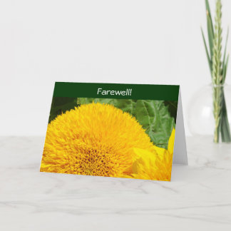 Farewell! Cards Good Bye We'll Miss You! Sunflower