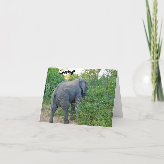 Farewell South Africa Elephant Card (Front)