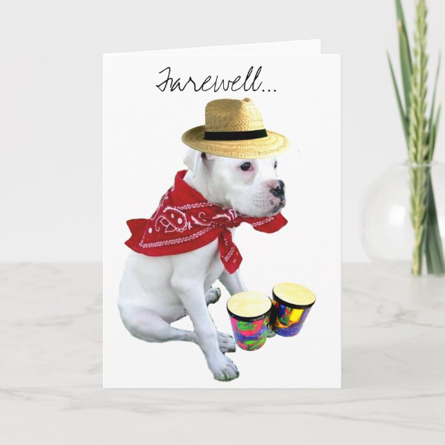 Farewell White Boxer pup avec Bongos carte de voeu (Devant)