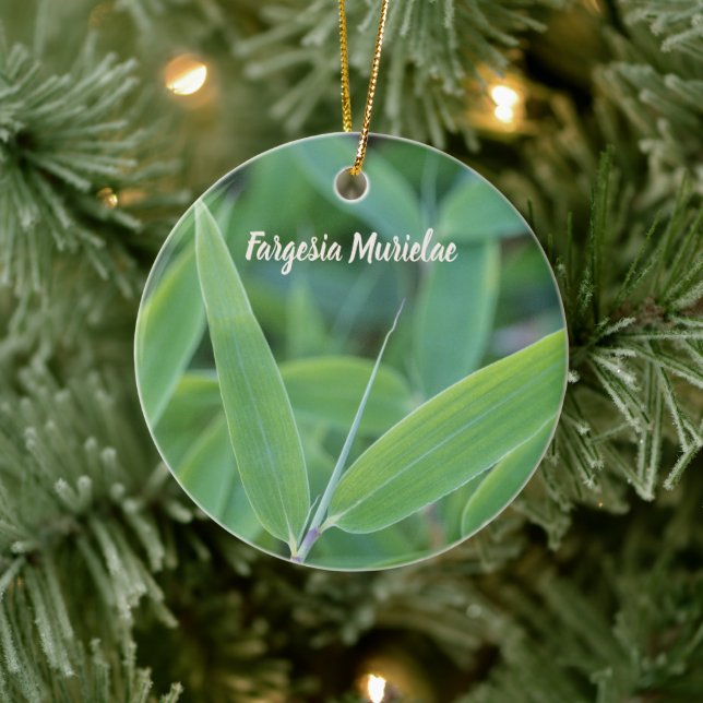 Fargesia murielae Bamboo plant for gardeners gift Ceramic Ornament (Tree)