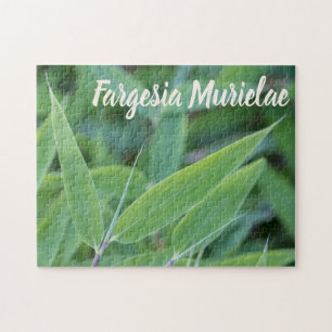 Fargesia murielae Bamboo plant for gardeners gift Jigsaw Puzzle