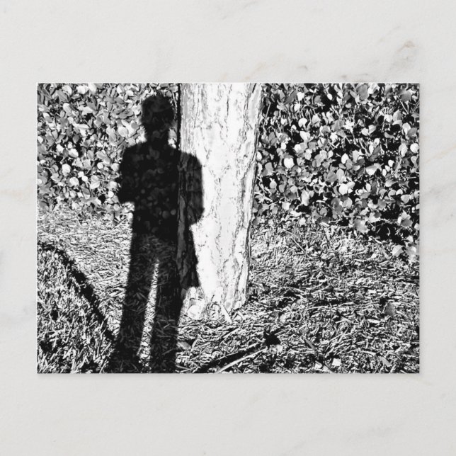 Farie Shadow Postcard (Front)