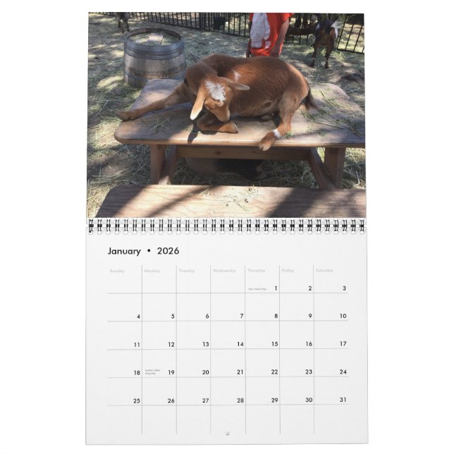 Farm Animal Calendar (Jan 2026)