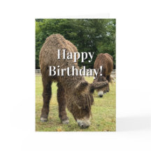 Farm Animal Donkey Cute Barnyard Funny Birthday 
