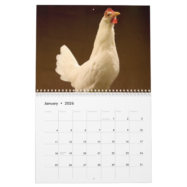 Farm Animal Photography Calendar (Jan 2026)