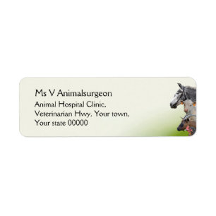 Farm animal veterinarian