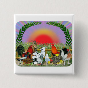 Farm Animals 2 Inch Square Button