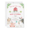 Farm Animals Boy Red Gingham Barnyard Birthday
