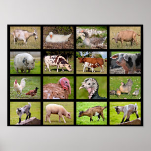 Farm animals mosaic poster