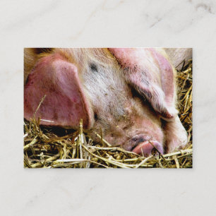 FARM ANIMALS, PIGS BUSINESS CARD