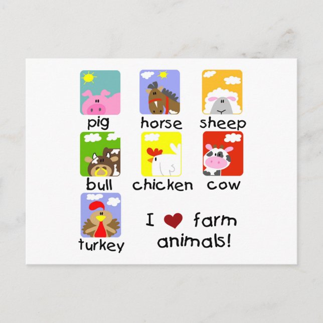 Farm Animals Tshirts and Gifts Postcard (Front)