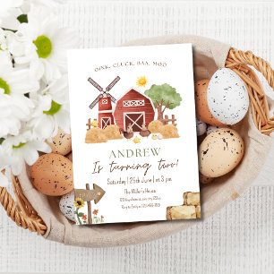 Farm Birthday Barnyard Animals Kids Birthday Invitation